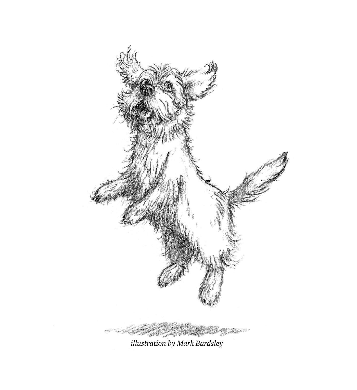 Illustration of jumping dog